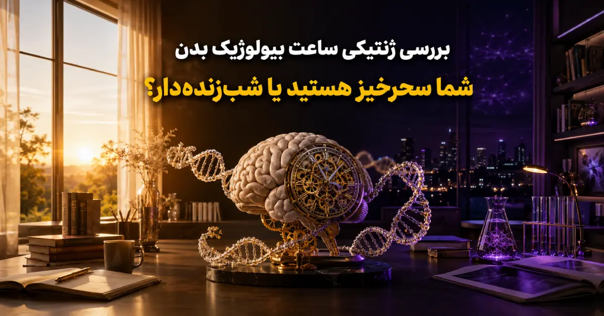 16 حقیقت جالب درباره ساعت بیولوژیک بدن | آیا شما سحرخیز هستید یا شب‌زنده‌دار؟
